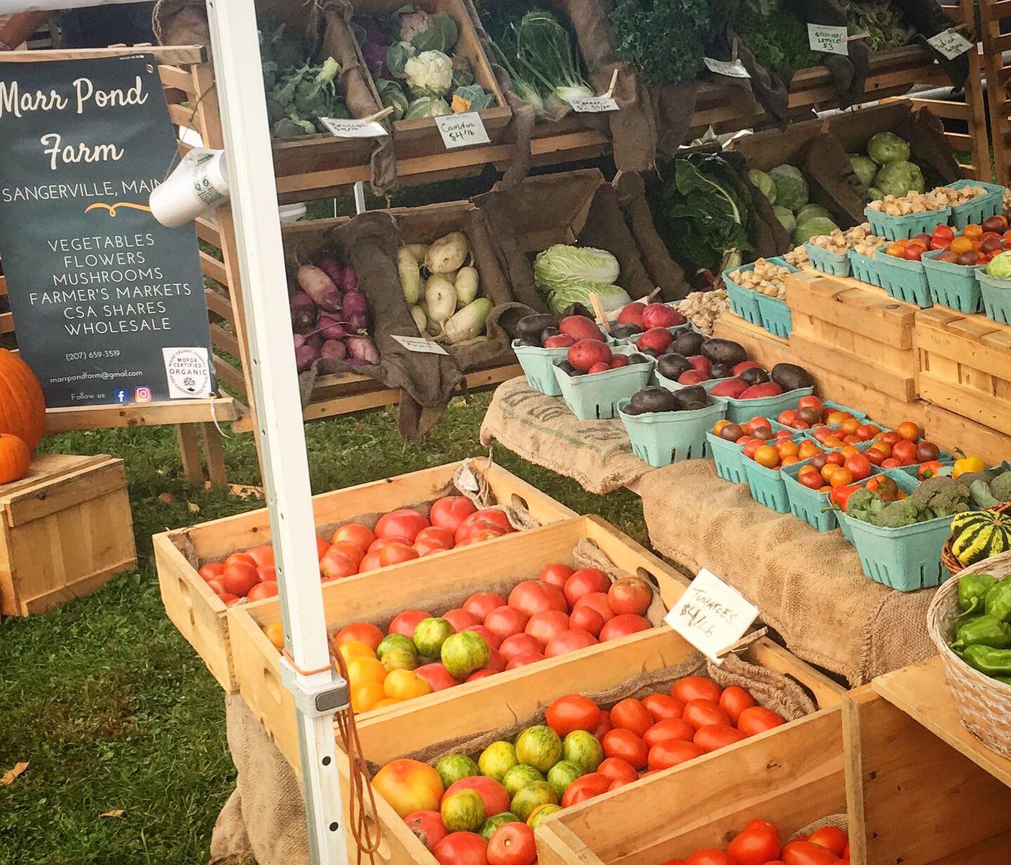 Farmers Markets Marr Pond Farm